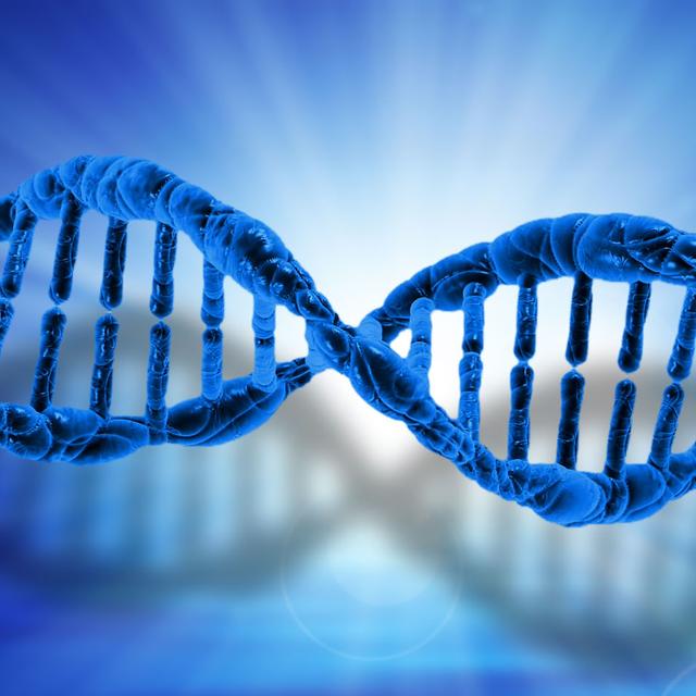 ADN de nos cellules.&amp;nbsp;© PublicDomainPictures - Domaine public