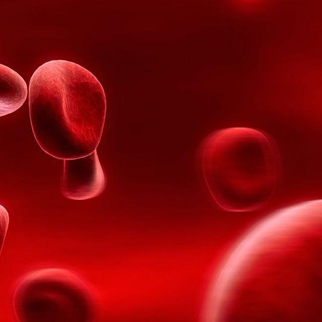 La circulation veineuse. © Zhouxuan12345678 - CC BY-SA 2.0