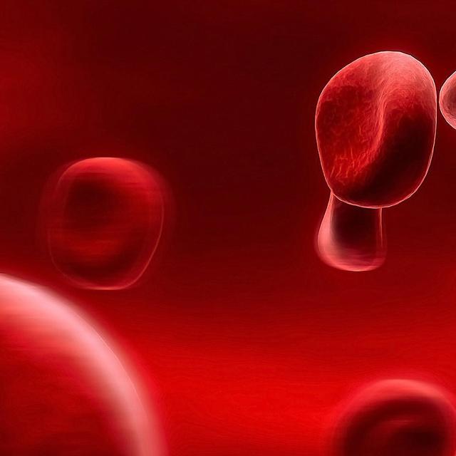 Le sang circule dans les artères.&amp;nbsp;© Zhouxuan -&amp;nbsp;CC BY-SA 2.0