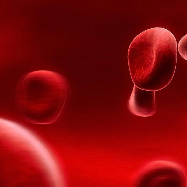 Le métabolisme du fer et ses maladies. © zhouxuan -&nbsp;CC BY-SA 2.0