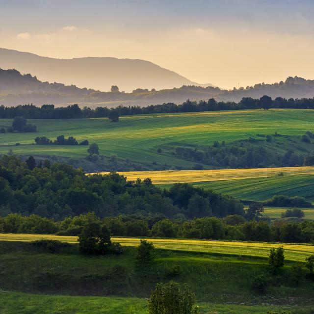 Le rôle de l&#39;agriculture dans la lutte contre le réchauffement climatique. © Photos-Kast, Pixabay, DP