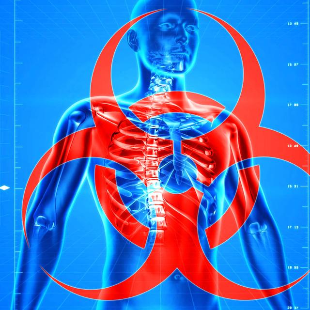 Quels sont les risques&amp;nbsp;de passage à l&#39;homme des maladies animales ?&amp;nbsp;© PublicDomainPictures - Domaine public&amp;nbsp;