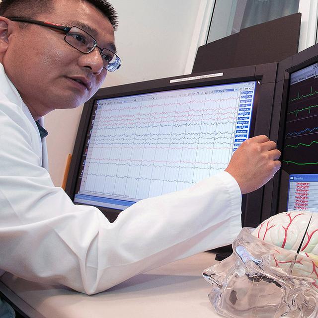 Découvrir le cerveau à travers les âges.&amp;nbsp;© Ibmphoto24 - CC BY-NC 2.0