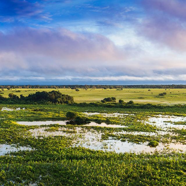 Le Pantanal est une écorégion terrestre d&#39;Amérique du Sud.&amp;nbsp;© Filipefrazao -&amp;nbsp;CC BY-SA 3.0
