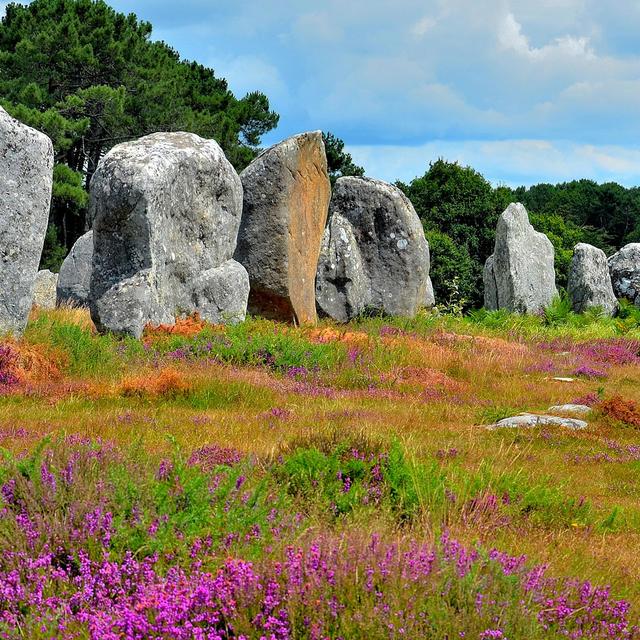 Alignement de menhirs de Carnac. © Totor300, CC by-nc 2.0