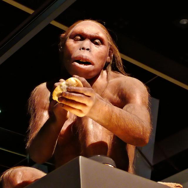 La lignée humaine a ses racines en Afrique. © Alberto-G-Rovi, CC by-sa 3.0