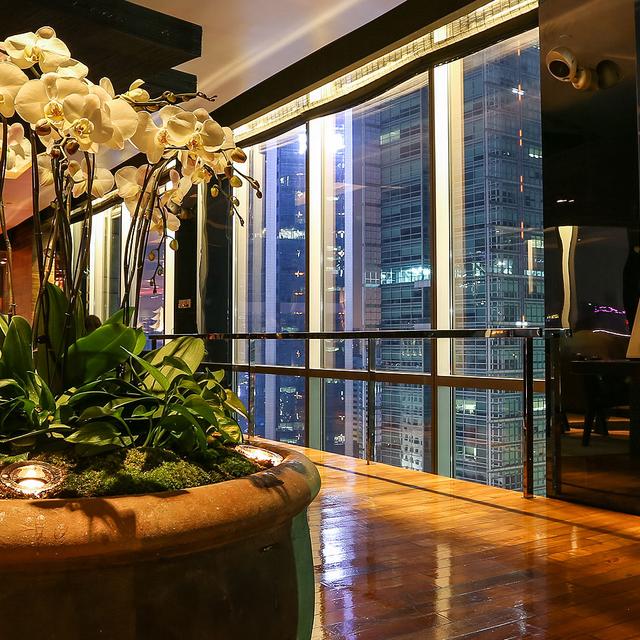 Certaines plantes d'intérieur ont la particularité d'absorber des polluants. © Britfatcat, CC by-nc 2.0