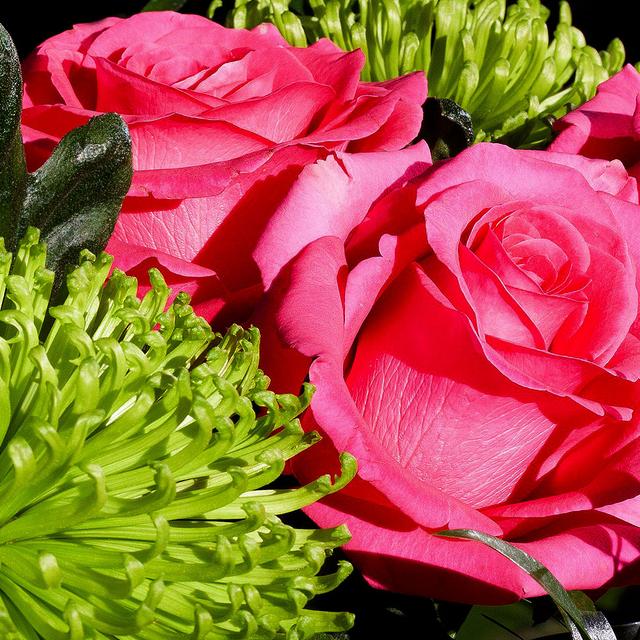 Bouquet de roses.&amp;nbsp;© Stux, Pixabay, DP