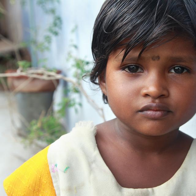 Touchant principalement des enfants, le virus est endémique de l'État du Kerala, en Inde, et sa propagation reste hypothétique hors des frontières du pays. © V.R.Murralinath, Abode Stock