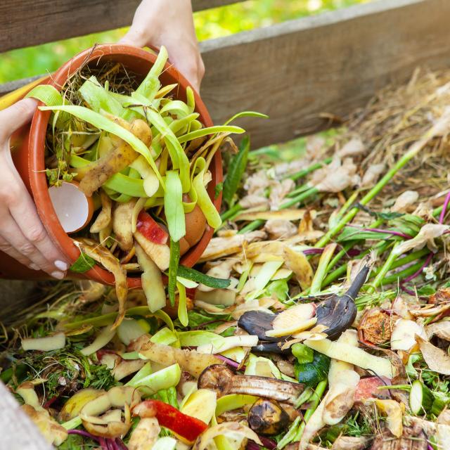 Le compostage des déchets organiques pour nourrir les sols. ©&amp;nbsp;Natalia Saxonova, Adobe Stock
