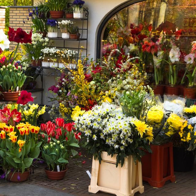 Le fleuriste gère son stock et achète chez son fournisseur les fleurs et plantes qu’il proposera dans son commerce. © Colette, Adobe Stock.
