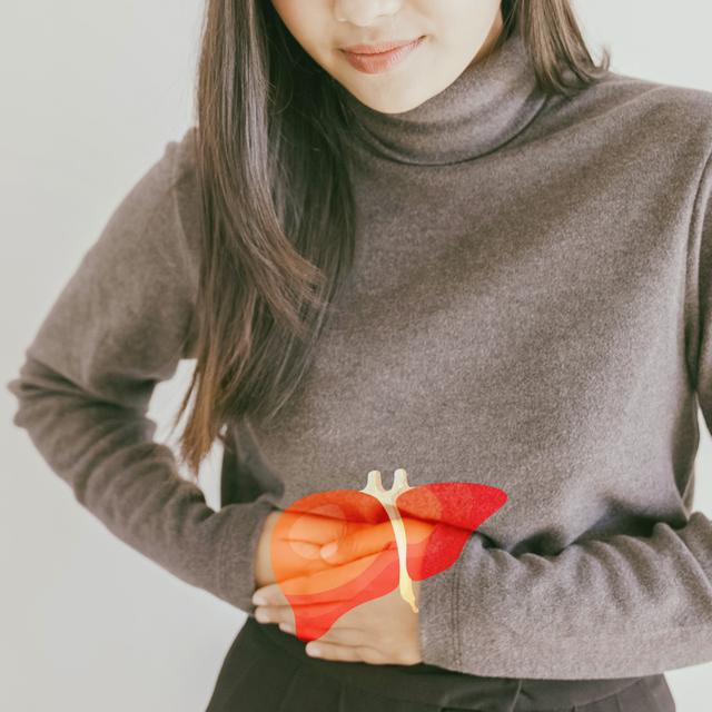 Un « mini-foie » injecté avec une seringue : le MIT explore une ...