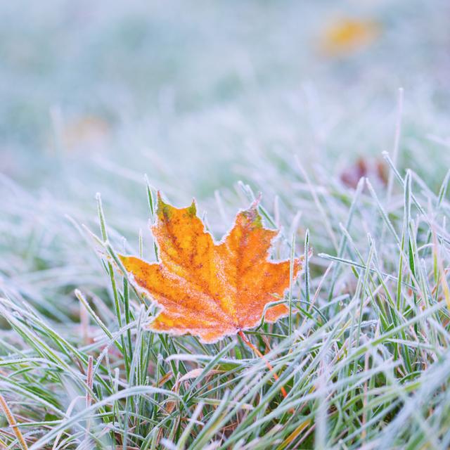 Des températures en dessous des normales de saison&nbsp;cette semaine, un peu partout en&nbsp;France. © photolink, Adobe Stock