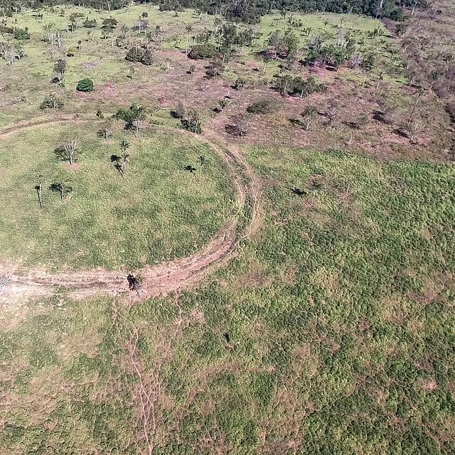 Géoglyphe circulaire découvert dans le site de l’Amazonie. © José Iriarte