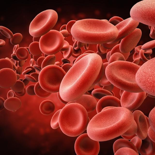 Drépanocytose : une piste pour aider les globules rouges