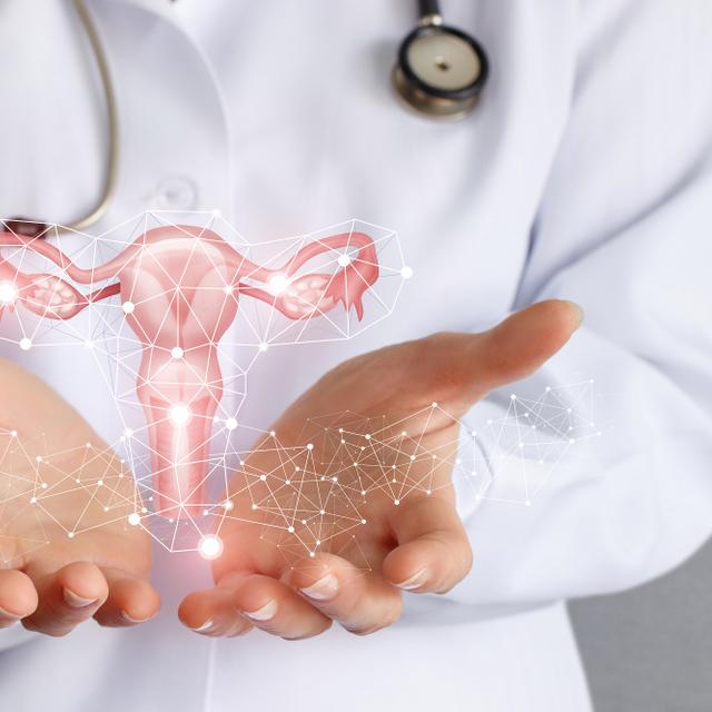 Le gynécologue est un médecin spécialisé dans la physiologie de la femme. © natali_mis, Adobe Stock.