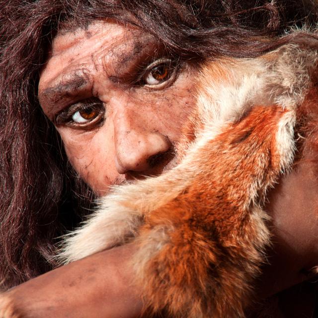Les populations de Papouasie-Nouvelle-Guinée seraient porteuses de gènes hérités de l&#39;Homme de Denisova. © procy_ab, Fotolia