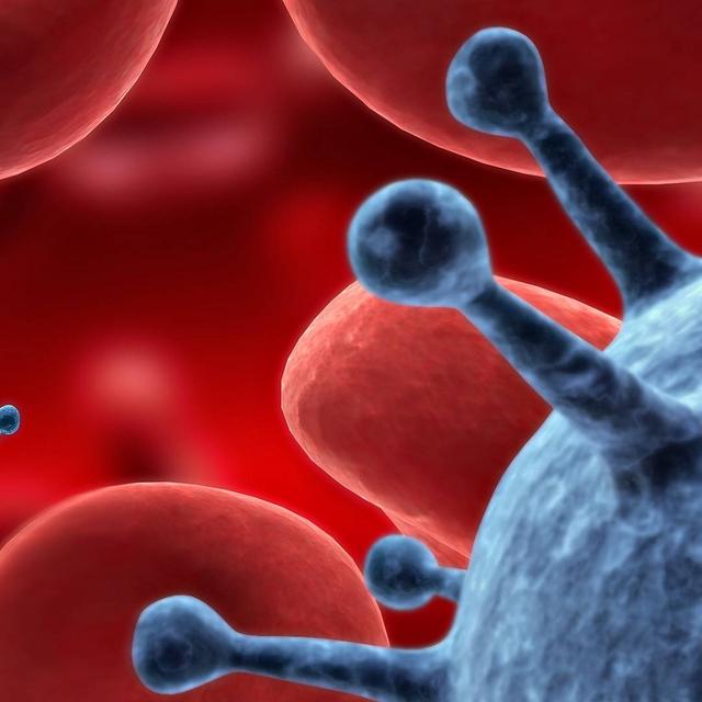 Plusieurs méthodes pour découvrir l&#39;agent pathogène. © Megan Nichole