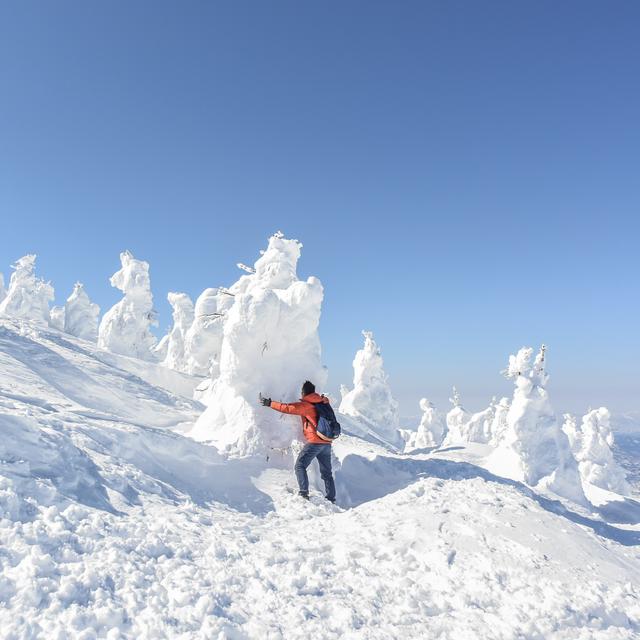 Le Japon a battu un record de neige en l'espace de quelques heures. © weniliou, Adobe Stock