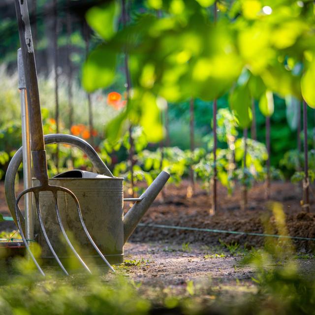 Alors, que faire au jardin avant fin mai ? © Thierry RYO, Adobe Stock