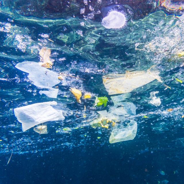 On sait de quels pays proviennent les déchets de plastique qui polluent ...