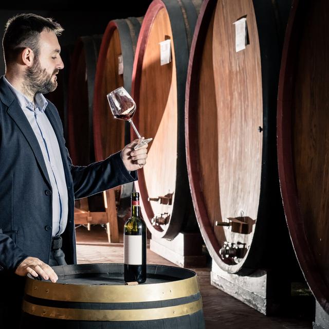 L’œnologue goûte régulièrement les vins afin de déterminer si des modifications sont à apporter au cours de sa vinification en fût. © Giorgio Pulcini, Fotolia
