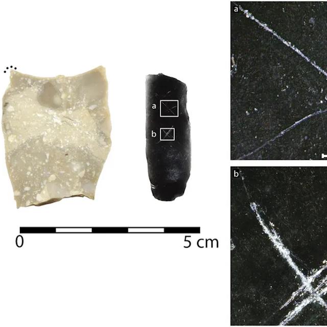 Ces flèches vieilles de 9 000 ans portent un mystérieux message que personne ne sait lire