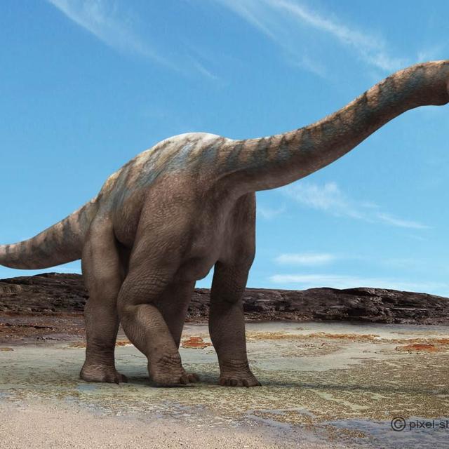 L&#39;Argentinasaurus, certainement le plus grand dinosaure qui ait existé. © Courtesy of Jon Hugues, www.pixel-shack.com