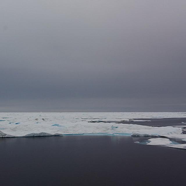 La banquise se forme lorsque la surface de la mer gèle. Elle contient des poches de saumure. © Danielguip CC b-nc-sa