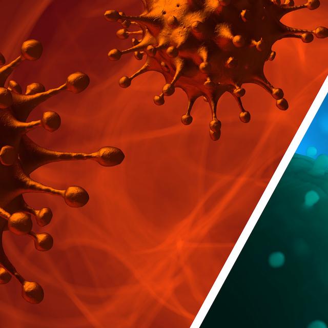 Comparaison entre la grippe et la coronavirus. © CROCOTHERY, Adobe Stock