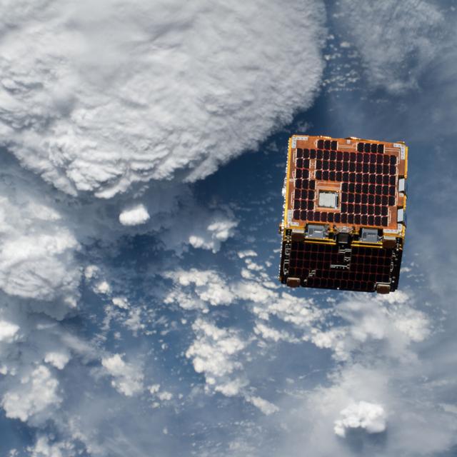 Voiture, animaux, sculptures… Sept objets bizarres envoyés dans l&#39;espace. © Nasa