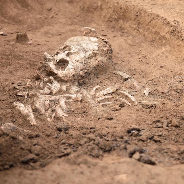 L’archéologie étudie la culture humaine passée grâce à des objets découverts sur le terrain. © Elena, Adobe Stock