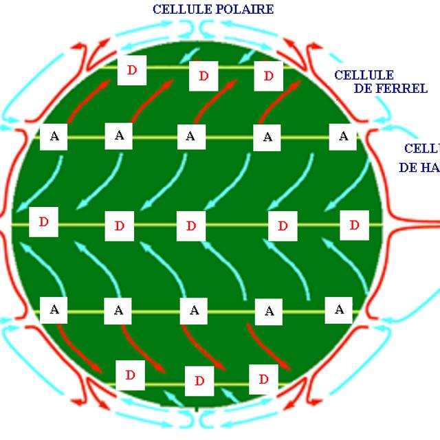 Schéma présentant les grandes cellules de la circulation atmosphérique, séparées par les anticyclones (A) et les dépressions (D). Les flèches bleues symbolisent les courants froids et les rouges les courants chauds. © Pierre cb, Wikimédia CC by-sa 3.0
