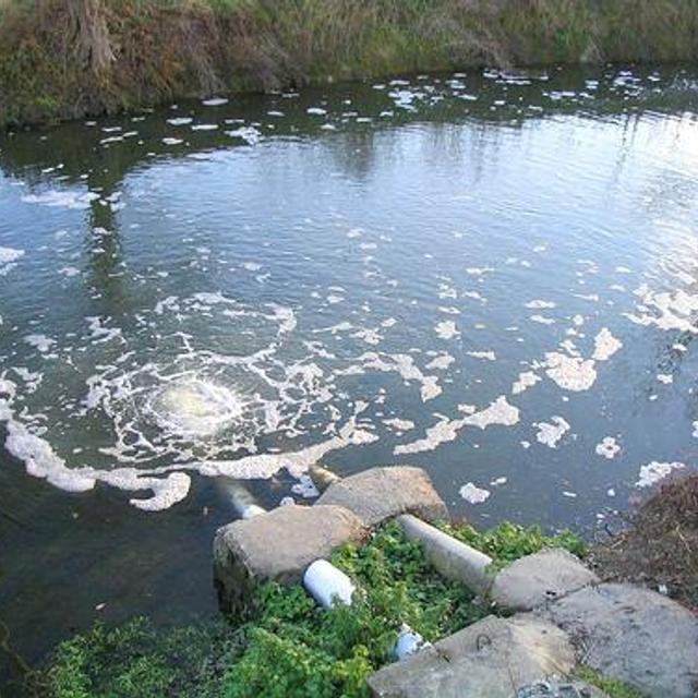Les rejets d’une usine directement dans un cours d’eau modifient les caractéristiques du milieu, ce qui en altère les peuplements. © Pierre-Alain Dorange CC by-nc 2.0
