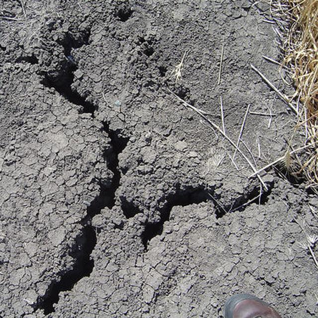 La formation du sol dépend fortement des conditions climatiques. Tout changement de ces conditions pourrait donc se traduire par une modification des sols. © RaeA CC by-nc-sa 2.0