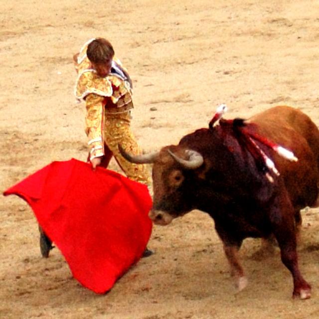 Le taureau de la corrida voit surtout un humain qui l&#39;agresse.&amp;nbsp;©&amp;nbsp;Enrique Dans,&amp;nbsp;Flickr CC&amp;nbsp;by-nc-sa 2.0