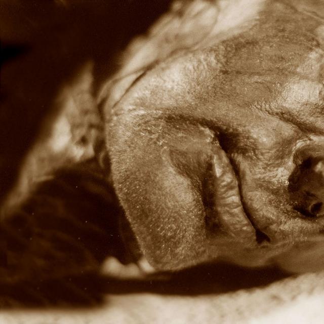 Vue du visage de l&#39;homme de Tollund.&amp;nbsp;© Sven Rosborn, Wikimedia commons, DP