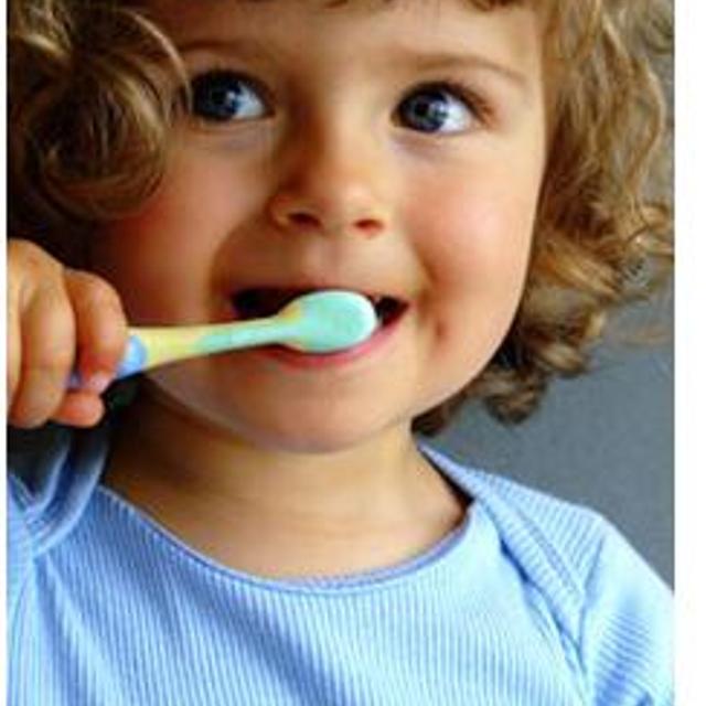 Le brossage des dents doit être réalisé plusieurs fois par jour. © Wojciech Gajda, Fotolia