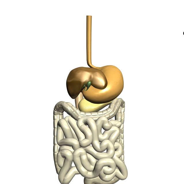 L’âge moyen de survenue d’un cancer de l’estomac est de 70 ans. © Ericos - Fotolia