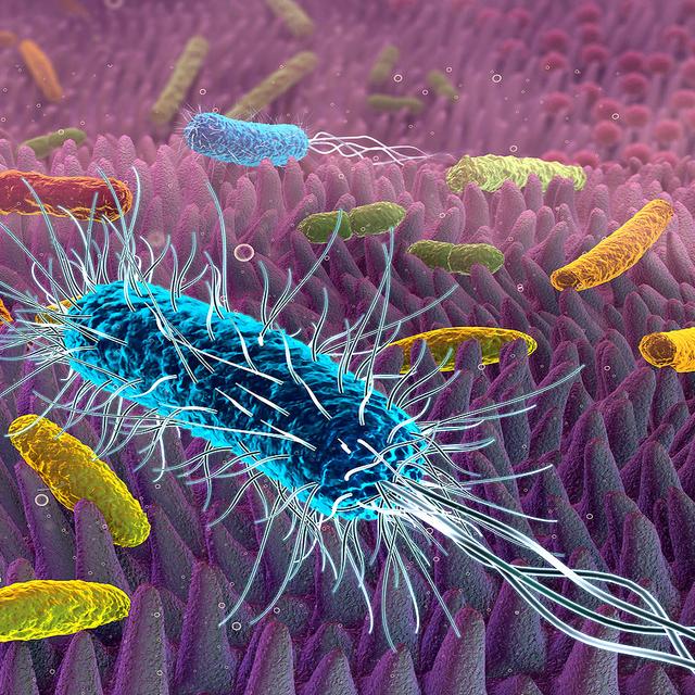 C’est une première mondiale : des chercheurs s’approchent enfin du ...