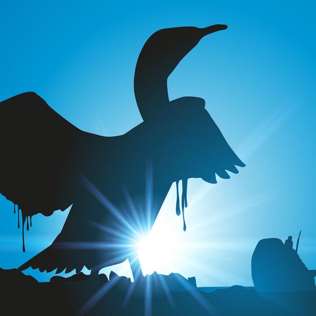 Démazouter un oiseau est une procédure longue et délicate et si certains doutent de son efficacité et prônent l’euthanasie, d’autres croient en leurs efforts et qualifient l’euthanasie systématique de solution de facilité. © pict rider, Fotolia
