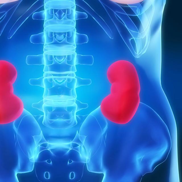 Cancer du rein : le tabac est un des principaux facteur de risque du rein – Crédit : Sebastian Kaulitzki - Fotolia