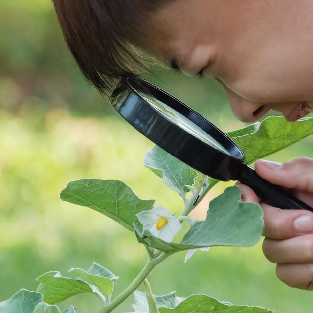 Partir pour une balade à la découverte des plantes sauvages d’une région. Une idée de vacances aux couleurs scientifiques valable même pour les petits budgets puisque, un peu partout en France, des associations locales œuvrent ainsi pour la valorisation du territoire qu’elles animent. © sewcream, Fotolia