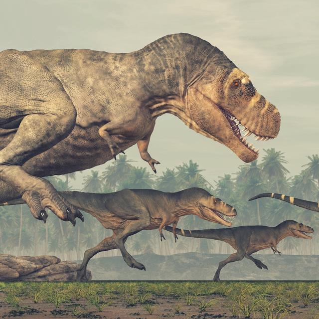 Pourrait-on faire revivre les dinosaures ? © Orlando Florin Rosu, fotolia