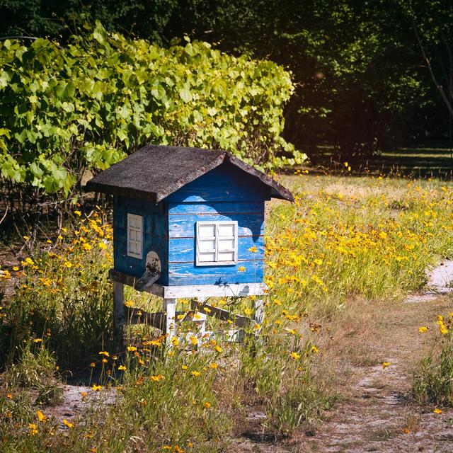  Une ruche dans son jardin, pourquoi pas ? © Plrang Art, Fotolia