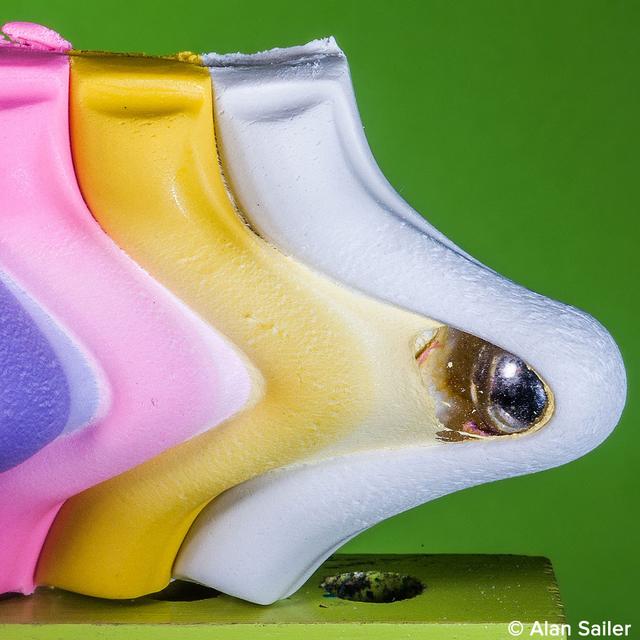 Découvrez l&#39;univers de la photographie haute vitesse d&#39;Alan Sailer.
© Alan Sailer