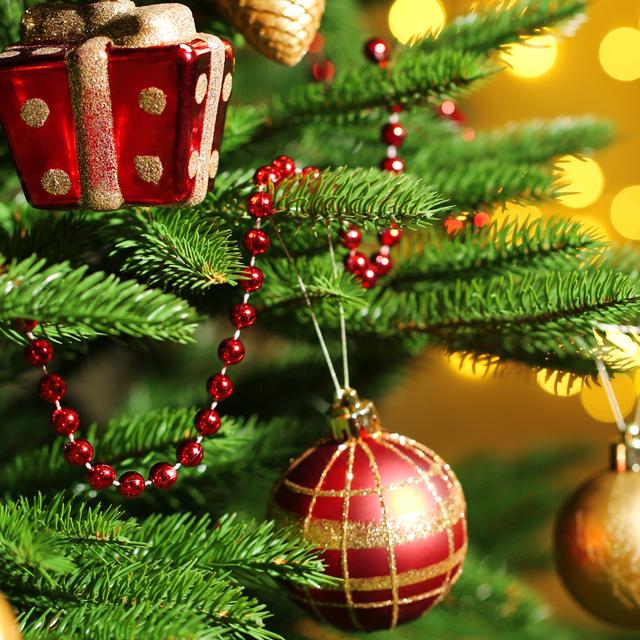 La magie de Noël.&nbsp;© Africa Studio, Shutterstock