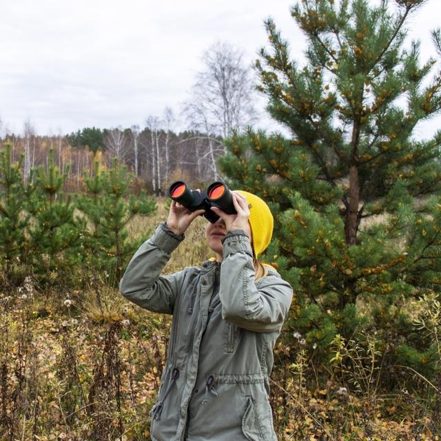 Les sciences participatives font le lien entre le grand public et les chercheurs qui comptent sur lui pour collecter des données scientifiques. © Lena_viridis, Adobe Stocks