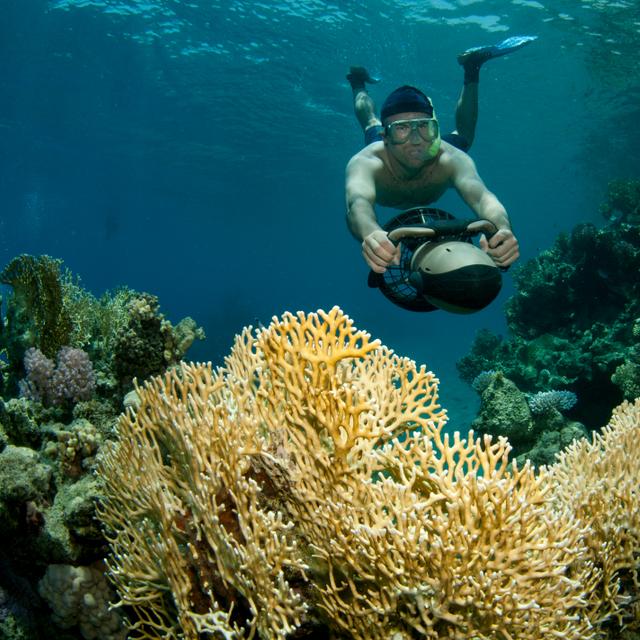 Surando, un scooter sous-marin tout léger et peu encombrant. © JonMilnes, Adobe Stock