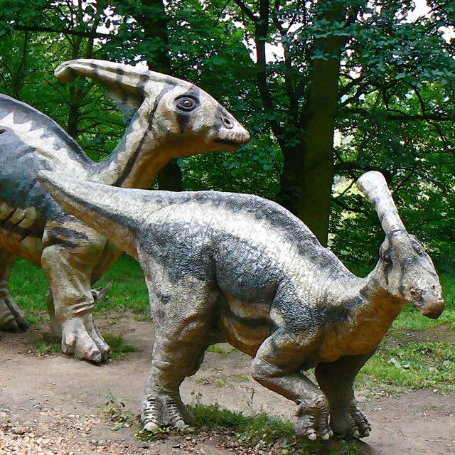Parasaurolophus